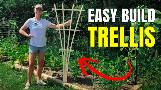 DIY Garden Trellis // EASY Woodworking Project