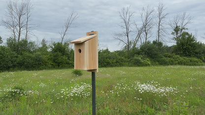 Bird House - DIY Digital Plans